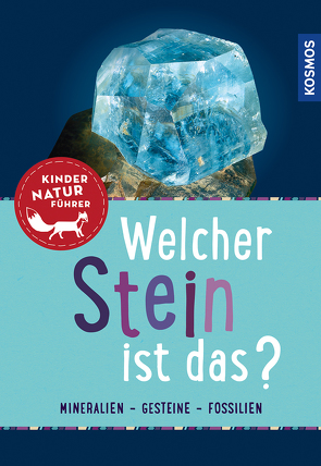 Welcher Stein ist das? Kindernaturführer von Hochleitner,  Dr. Rupert