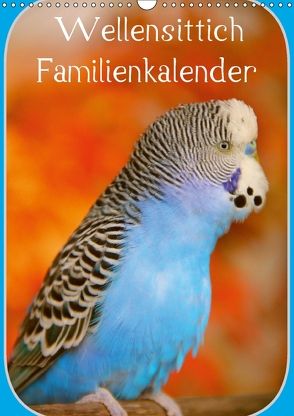 Wellensittich Familienkalender (Wandkalender 2018 DIN A3 hoch) von Bergmann,  Björn