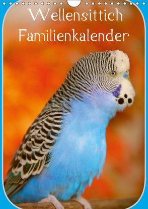 Wellensittich Familienkalender (Wandkalender 2018 DIN A4 hoch) von Bergmann,  Björn