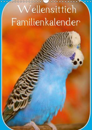 Wellensittich Familienkalender (Wandkalender 2019 DIN A3 hoch) von Bergmann,  Björn