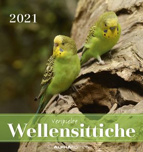 Wellensittiche 2021 – Postkartenkalender 16×17 cm – Budgies – zum aufstellen oder aufhängen – Geschenk-Idee – Gadget – Alpha Edition