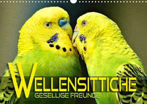 Wellensittiche – gesellige Freunde (Wandkalender 2023 DIN A3 quer) von Utz,  Renate