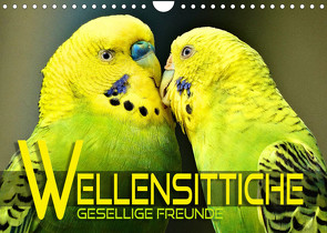 Wellensittiche – gesellige Freunde (Wandkalender 2023 DIN A4 quer) von Utz,  Renate