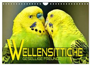 Wellensittiche – gesellige Freunde (Wandkalender 2024 DIN A4 quer), CALVENDO Monatskalender von Utz,  Renate