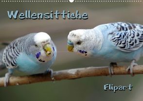 Wellensittiche (Posterbuch DIN A2 quer) von Berg,  Martina