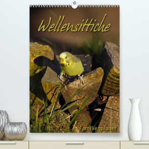 Wellensittiche (Premium, hochwertiger DIN A2 Wandkalender 2023, Kunstdruck in Hochglanz) von Berg,  Martina