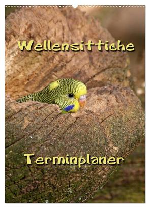 Wellensittiche Terminplaner (Wandkalender 2024 DIN A2 hoch), CALVENDO Monatskalender von Berg,  Martina