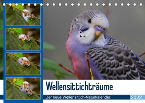 Wellensittichträume – Der neue Wellensittich-Naturkalender (Tischkalender 2022 DIN A5 quer) von Bergmann,  Björn