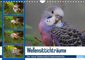 Wellensittichträume – Der neue Wellensittich-Naturkalender (Wandkalender 2022 DIN A4 quer) von Bergmann,  Björn