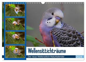 Wellensittichträume – Der neue Wellensittich-Naturkalender (Wandkalender 2024 DIN A3 quer), CALVENDO Monatskalender von Bergmann,  Björn