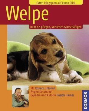 Welpe von Harries,  Brigitte