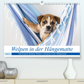 Welpen in der Hängematte (Premium, hochwertiger DIN A2 Wandkalender 2023, Kunstdruck in Hochglanz) von Verena Scholze,  Fotodesign