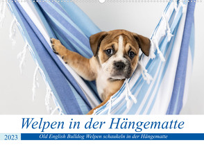 Welpen in der Hängematte (Wandkalender 2023 DIN A2 quer) von Verena Scholze,  Fotodesign