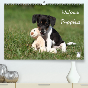 Welpen – Puppies (Premium, hochwertiger DIN A2 Wandkalender 2023, Kunstdruck in Hochglanz) von Hutfluss,  Jeanette