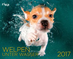 Welpen unter Wasser 2017 von Casteel,  Seth