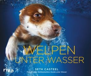 Welpen unter Wasser von Casteel,  Seth