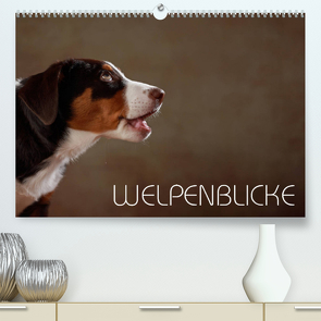 Welpenblicke (Premium, hochwertiger DIN A2 Wandkalender 2022, Kunstdruck in Hochglanz) von Behr,  Jana