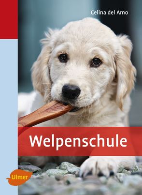 Welpenschule von del Amo,  Celina