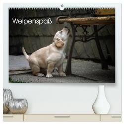 Welpenspaß (hochwertiger Premium Wandkalender 2024 DIN A2 quer), Kunstdruck in Hochglanz von Pelzer (Pelzer-Photography),  Claudia