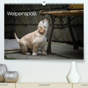 Welpenspaß (Premium, hochwertiger DIN A2 Wandkalender 2023, Kunstdruck in Hochglanz) von Pelzer (Pelzer-Photography),  Claudia