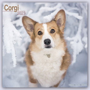 Welsh Corgi 2023 – 16-Monatskalender