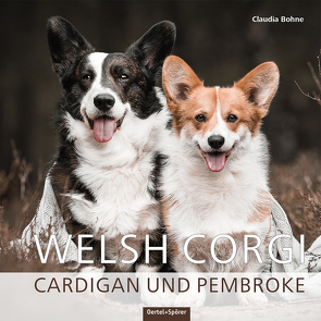 Welsh Corgi von Bohne,  Claudia