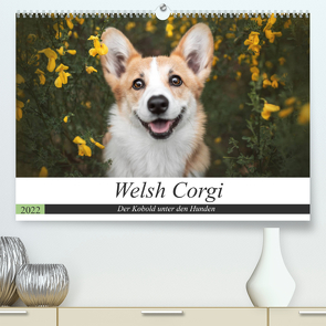 Welsh Corgi – Der Kobold unter den Hunden (Premium, hochwertiger DIN A2 Wandkalender 2022, Kunstdruck in Hochglanz) von Ahrens,  Maria