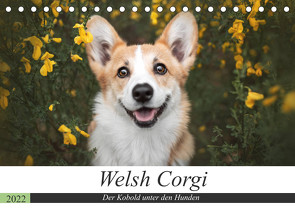 Welsh Corgi – Der Kobold unter den Hunden (Tischkalender 2022 DIN A5 quer) von Ahrens,  Maria