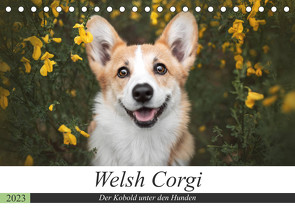 Welsh Corgi – Der Kobold unter den Hunden (Tischkalender 2023 DIN A5 quer) von Ahrens,  Maria