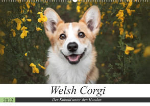 Welsh Corgi – Der Kobold unter den Hunden (Wandkalender 2022 DIN A2 quer) von Ahrens,  Maria