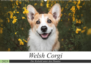 Welsh Corgi – Der Kobold unter den Hunden (Wandkalender 2023 DIN A2 quer) von Ahrens,  Maria