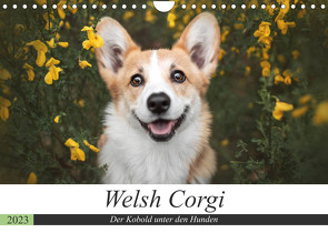 Welsh Corgi – Der Kobold unter den Hunden (Wandkalender 2023 DIN A4 quer) von Ahrens,  Maria