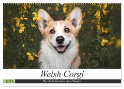 Welsh Corgi – Der Kobold unter den Hunden (Wandkalender 2024 DIN A2 quer), CALVENDO Monatskalender von Ahrens,  Maria