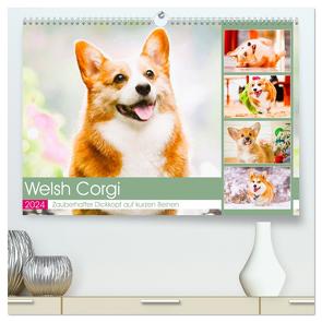 Welsh Corgi. Zauberhafter Dickkopf auf kurzen Beinen (hochwertiger Premium Wandkalender 2024 DIN A2 quer), Kunstdruck in Hochglanz von Hurley,  Rose