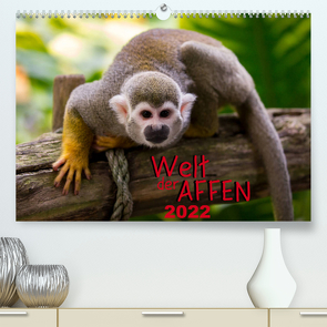 Welt der Affen (Premium, hochwertiger DIN A2 Wandkalender 2022, Kunstdruck in Hochglanz) von Reznicek Photography,  M.