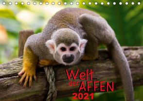 Welt der Affen (Tischkalender 2021 DIN A5 quer) von Reznicek Photography,  M.