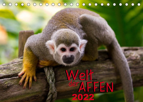 Welt der Affen (Tischkalender 2022 DIN A5 quer) von Reznicek Photography,  M.