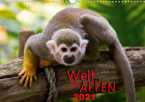 Welt der Affen (Wandkalender 2021 DIN A3 quer) von Reznicek Photography,  M.