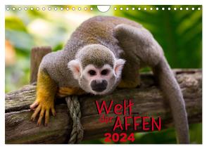 Welt der Affen (Wandkalender 2024 DIN A4 quer), CALVENDO Monatskalender von Reznicek Photography,  M.