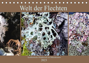 Welt der Flechten (Tischkalender 2023 DIN A5 quer) von Weis,  Stefan