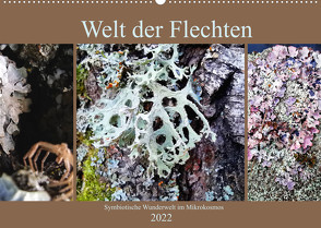 Welt der Flechten (Wandkalender 2022 DIN A2 quer) von Weis,  Stefan