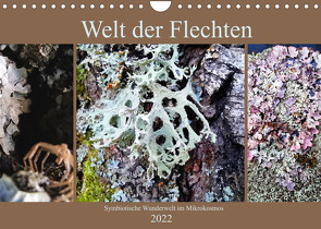 Welt der Flechten (Wandkalender 2022 DIN A4 quer) von Weis,  Stefan