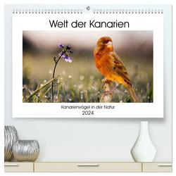 Welt der Kanarien (hochwertiger Premium Wandkalender 2024 DIN A2 quer), Kunstdruck in Hochglanz von AkremaFotoArt,  AkremaFotoArt