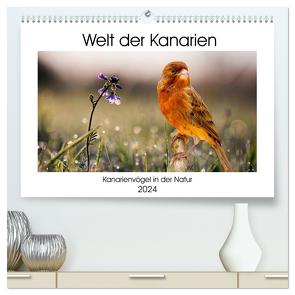 Welt der Kanarien (hochwertiger Premium Wandkalender 2024 DIN A2 quer), Kunstdruck in Hochglanz von AkremaFotoArt,  AkremaFotoArt