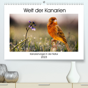 Welt der Kanarien (Premium, hochwertiger DIN A2 Wandkalender 2023, Kunstdruck in Hochglanz) von AkremaFotoArt