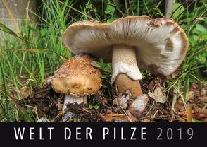 Welt der Pilze 2019 von Quelle & Meyer Verlag