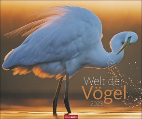 Welt der Vögel Kalender 2023. Tierkalender 2023 mit faszinierenden Fotos unterschiedlichster Vogelarten. Wandkalender Großformat, ein Naturkalender mit beeindruckenden Aufnahmen. von Weingarten