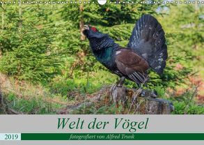 Welt der Vögel (Wandkalender 2019 DIN A3 quer) von Trunk,  Alfred