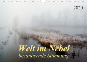 Welt im Nebel – bezaubernde Stimmung (Wandkalender 2020 DIN A4 quer) von Roder,  Peter