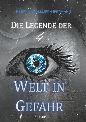 Welt in Gefahr von Wöllmer-Bergmann,  Kristin